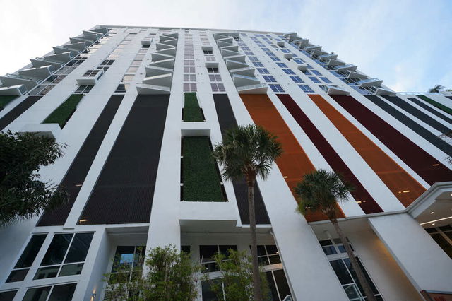 The Crimson  photo 2